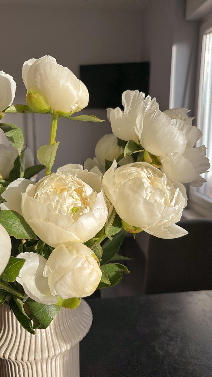 Fête des mères - Infos pratiques